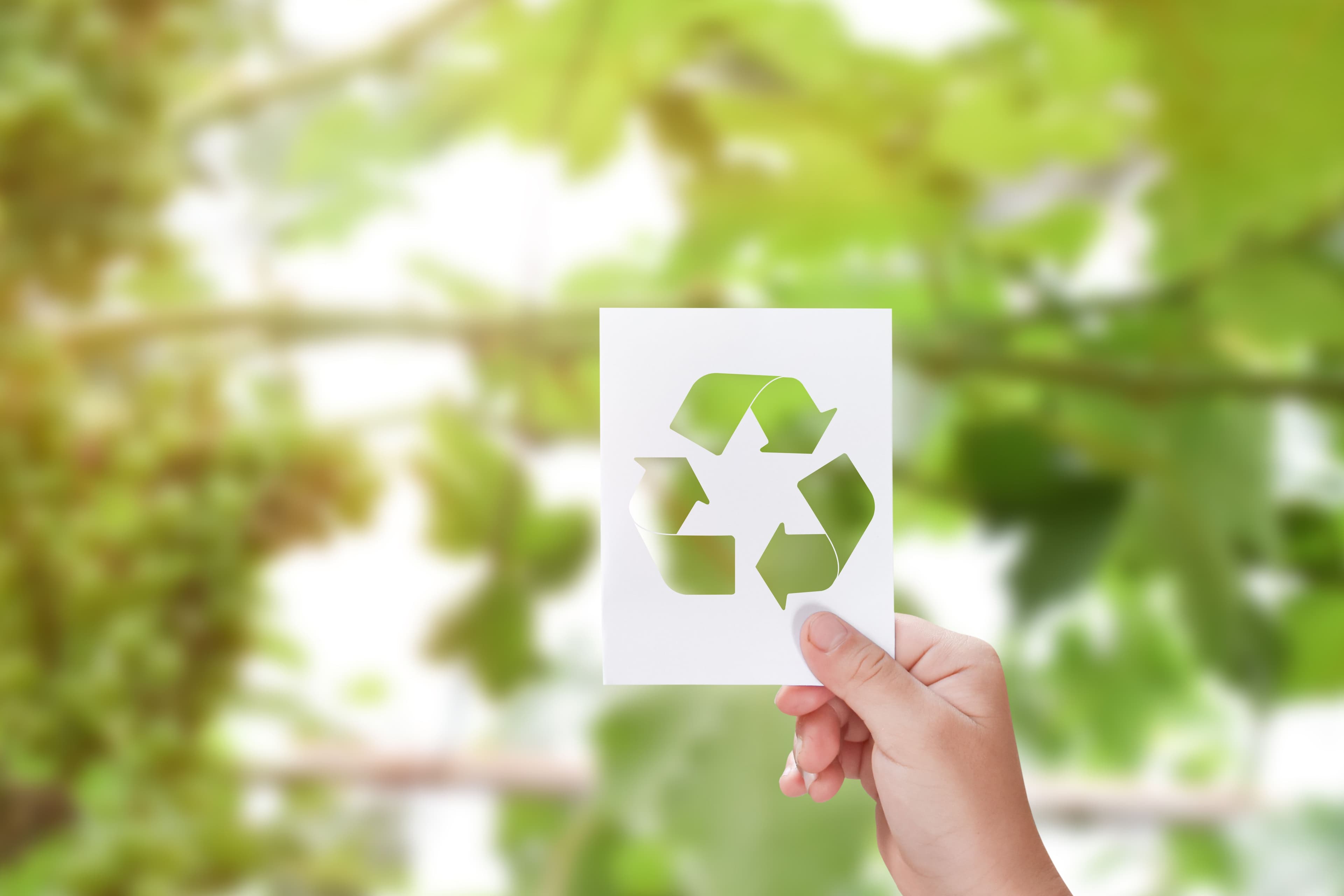 immagine di una mano che sorregge un foglietto con il simbolo del riciclo, alberi sullo sfondo.