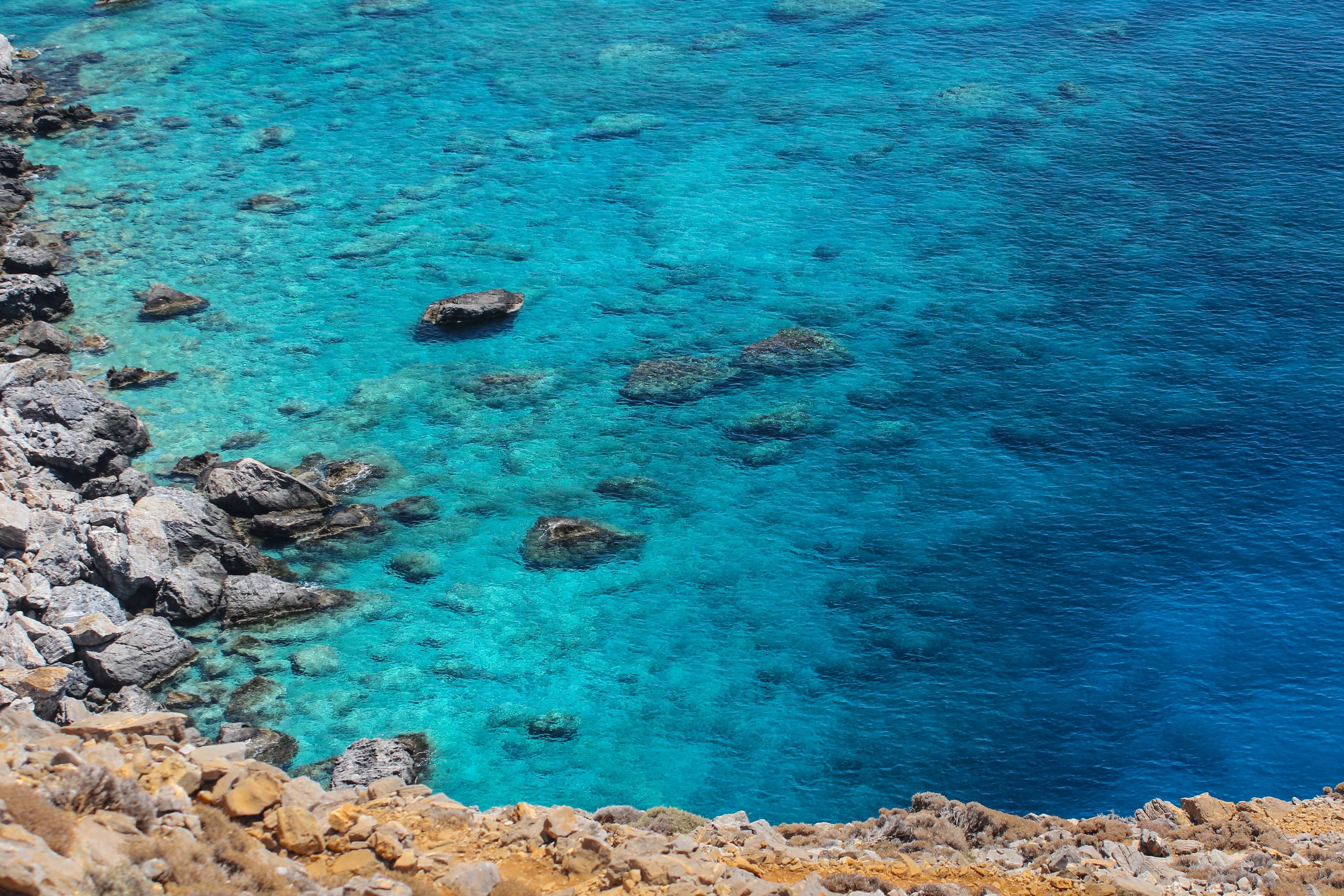 mare