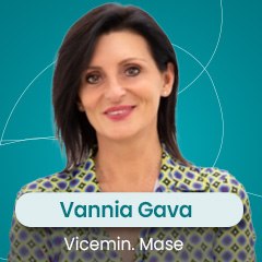 vicemin-vannia-gava-mase